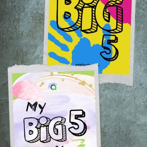 BIG5 Bundle